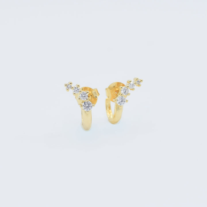 Lush Earrings