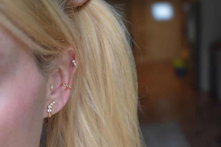 Lush Earrings