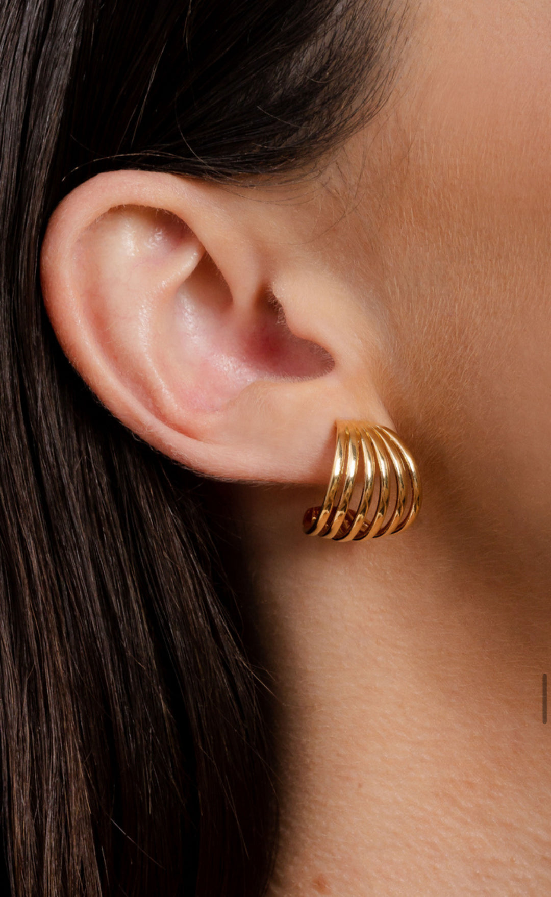 Aretha Hoops